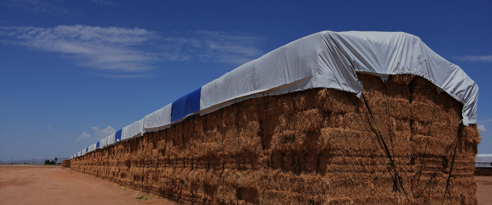 Jinhua Donglin Tarpaulin Daily Products Co., Ltd.