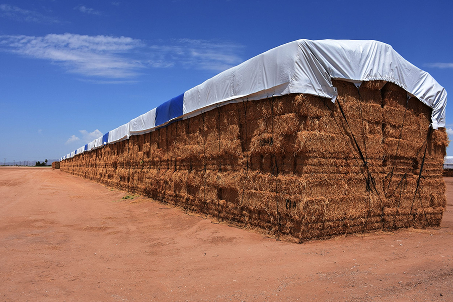 ما هي سيناريوهات استخدام القماش المشمع المقاوم للماء والمطر؟