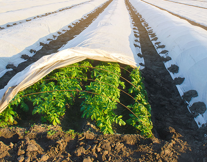 تمكين الزراعة الحديثة وحماية كل محصول